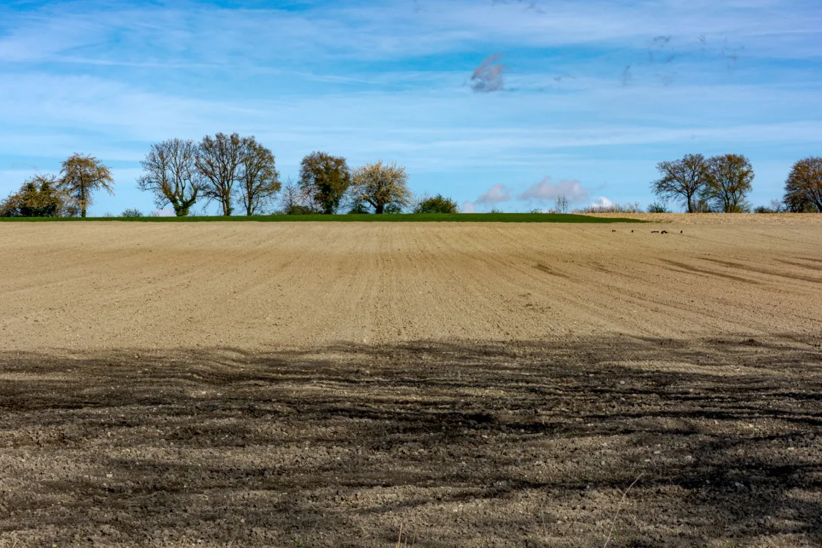 Vacant Land Insurance A Crucial Decision Vacant Land Insurance A Crucial Decision