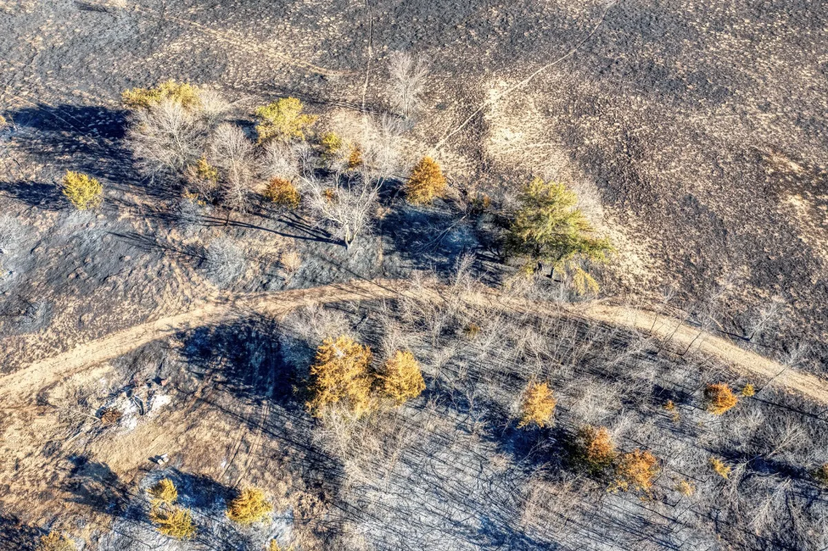 Vacant Land Insurance A Crucial Decision: Understanding Coverage Options - Vacant Land Insurance Vacant Land Insurance A Crucial Decision: Understanding Coverage Options - Vacant Land Insurance