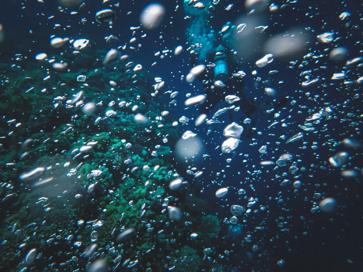 What is Imputed Life Insurance? A Deep Dive What is Imputed Life Insurance? A Deep Dive