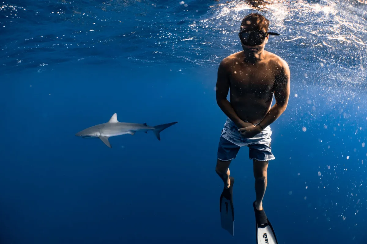 A diver exploring underwater alongside a shark, showcasing adventure and marine A diver exploring underwater alongside a shark, showcasing adventure and marine